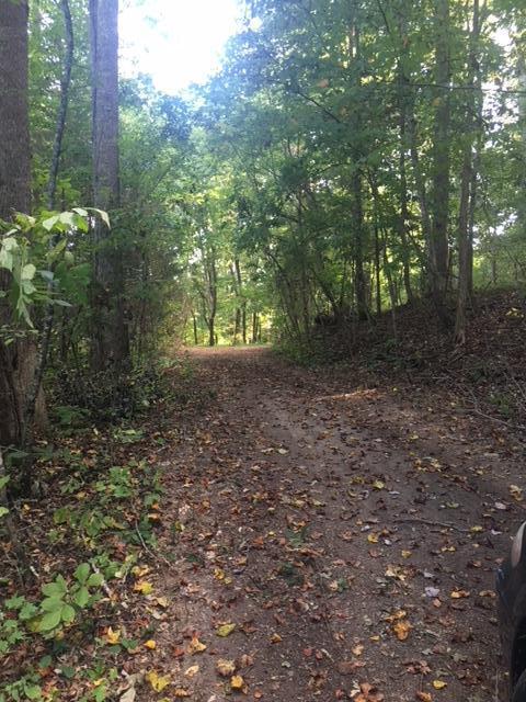 Hankins Hollow Rd - Photo 1