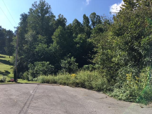 Stone Ridge - Photo 1