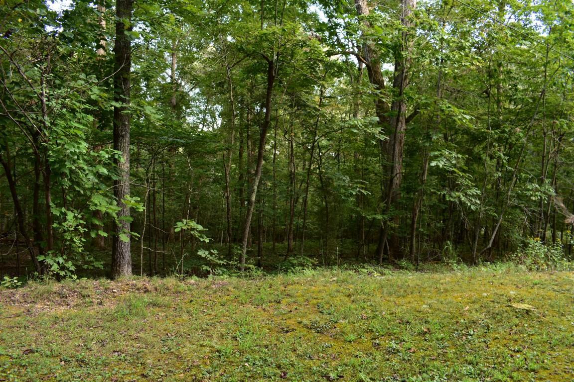 Lot176&177 Scenic Lakeview Drive - Photo 1