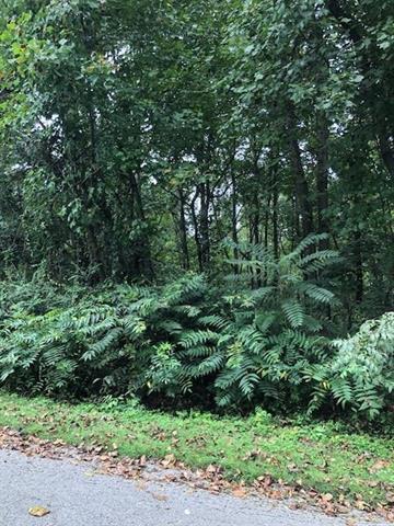 Lot 90 Ashley Lane - Photo 1
