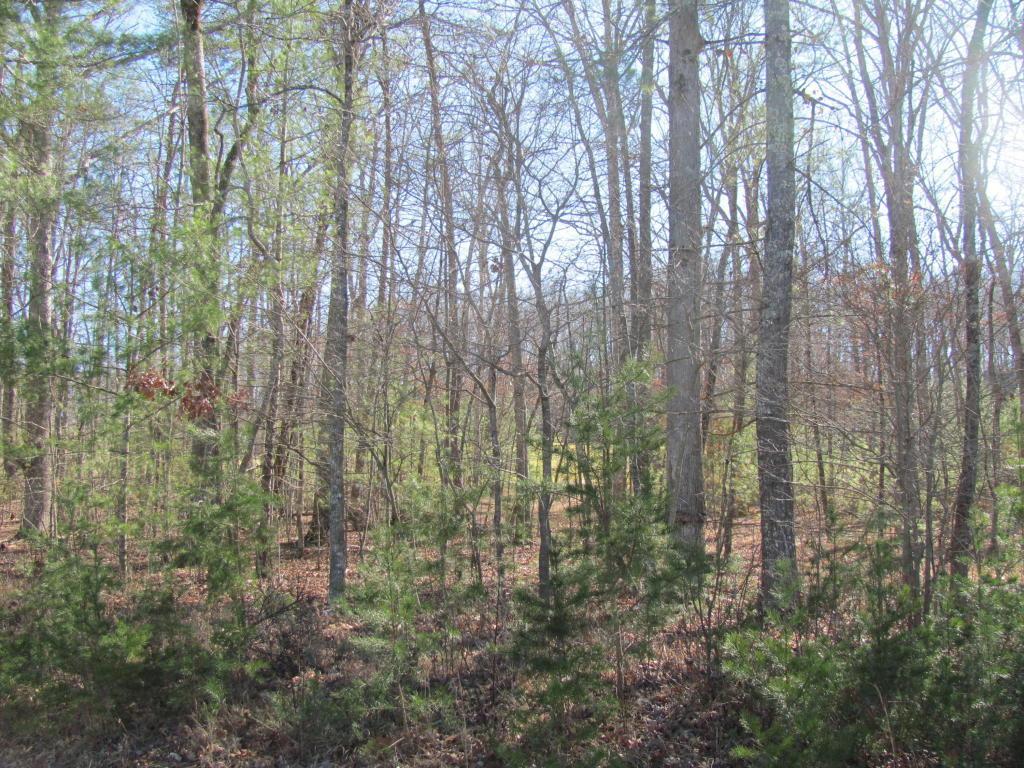 286 Forest Hill Drive - Photo 1