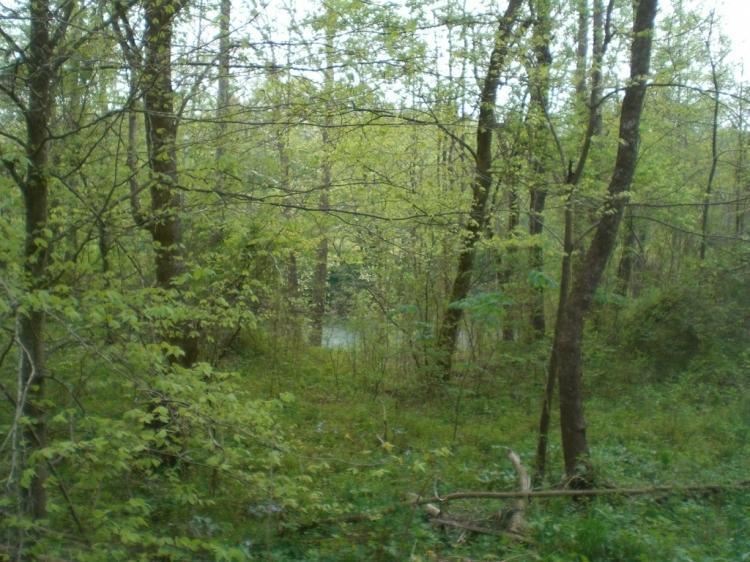 J D Chambers Rd - Photo 1
