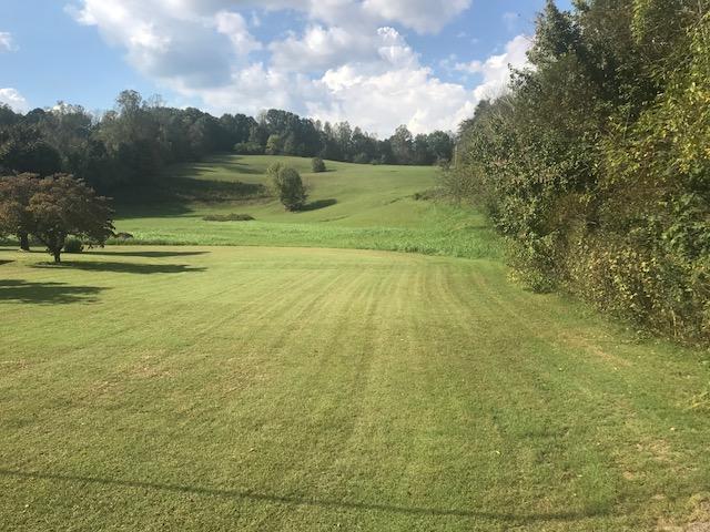 5622 Hickory Valley Rd - Photo 1