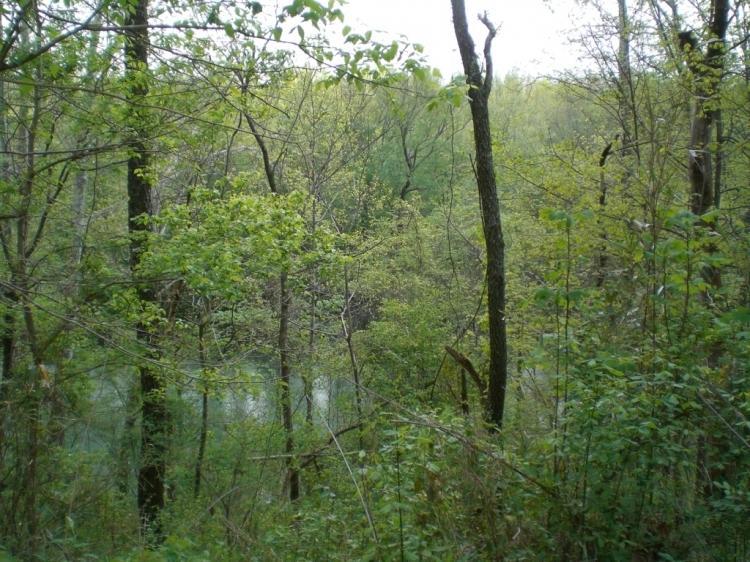 J D Chambers Rd - Photo 1