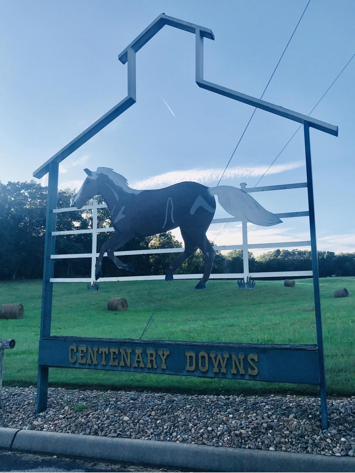 1820 Saddle Horn Tr - Photo 1