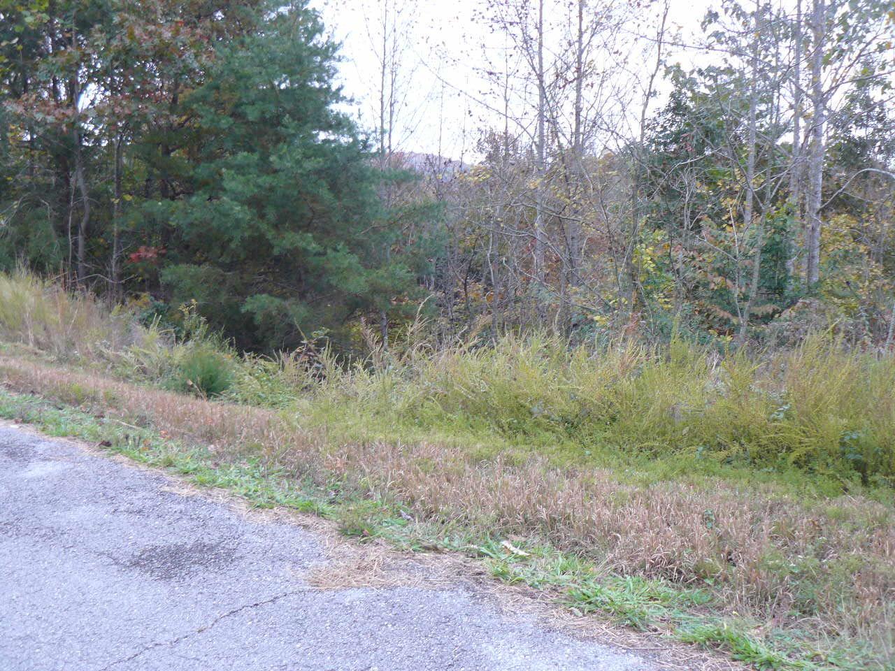 Lot 708 Whistle Valley Rd - Photo 1