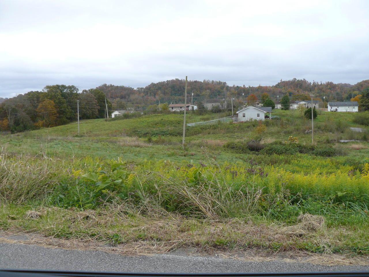 Lot 29 Leabow Hollow Rd - Photo 1