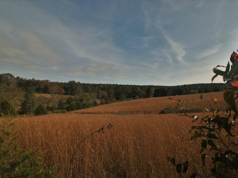 622 Ridge Rd. - Photo 1