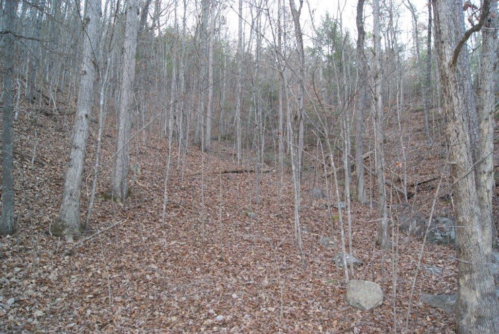Lot# 7 Mountain Blvd - Photo 1