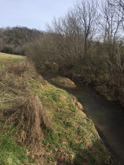 000 Clear Creek Rd Rd - Photo 1