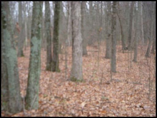 918 & 1202 Mccubbins Rd - Photo 1