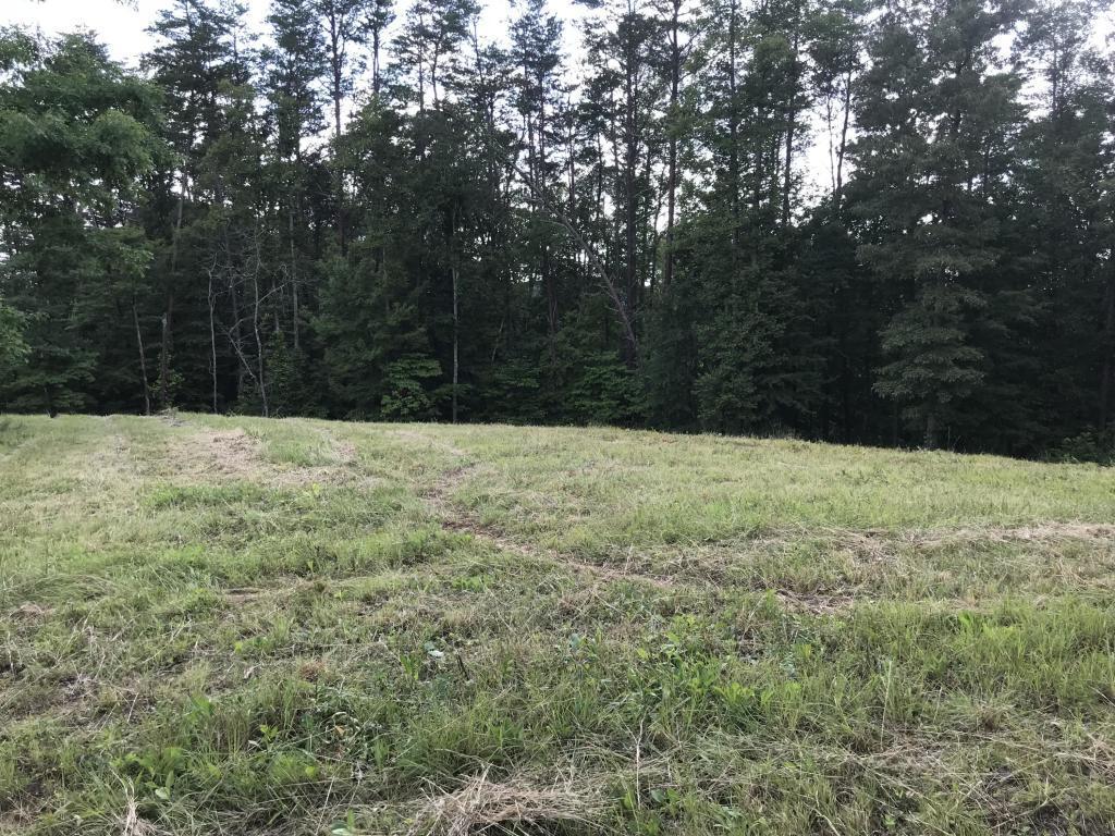Mt Vista Drive - Photo 1