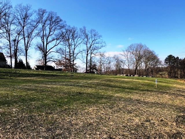Lot 10-Fairway Drive - Photo 1