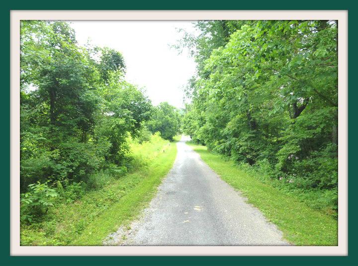 1368 Alberta Jones Rd - Photo 1