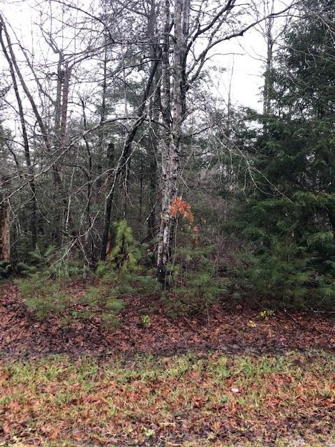 143 Laswell Ln - Photo 1