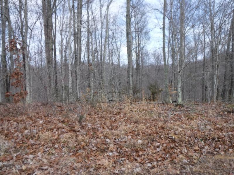 Lot 18 Western Way - Photo 1 Lot 18 Western Way - Photo 1
