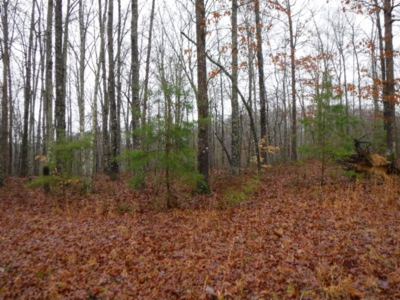 52ac Arrowhead Rd - Photo 1