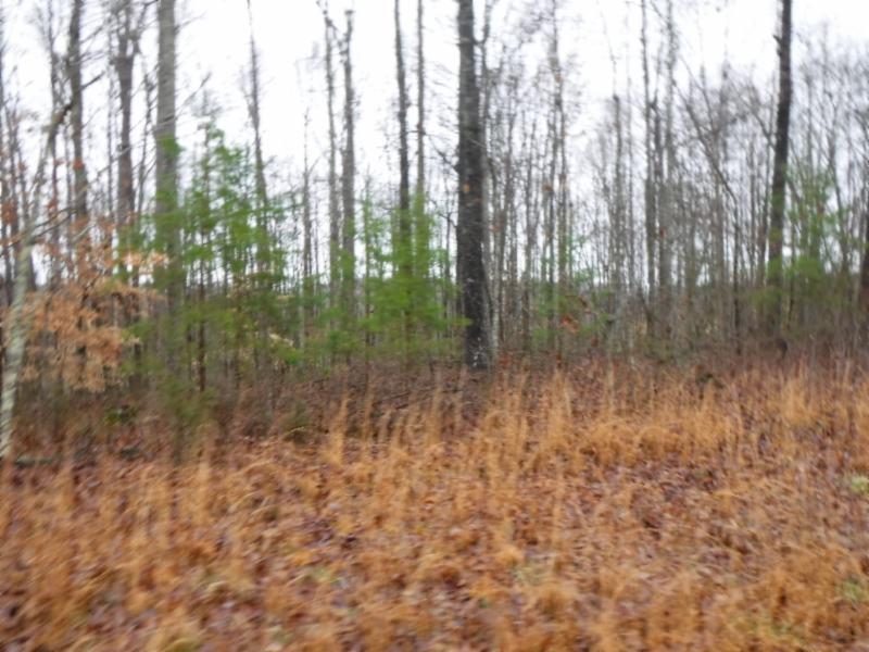 27.16ac Arrowhead Rd - Photo 1