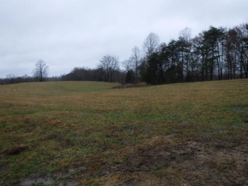 41.69ac Arrowhead Rd - Photo 1