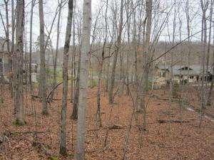 151 Pineridge Loop - Photo 1