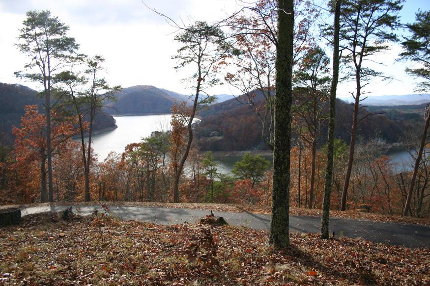 Lot 3 Hickory Knoll Circle - Photo 1