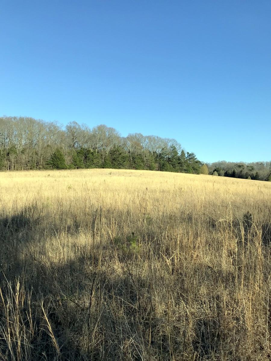 Hawkins Rd - Photo 1