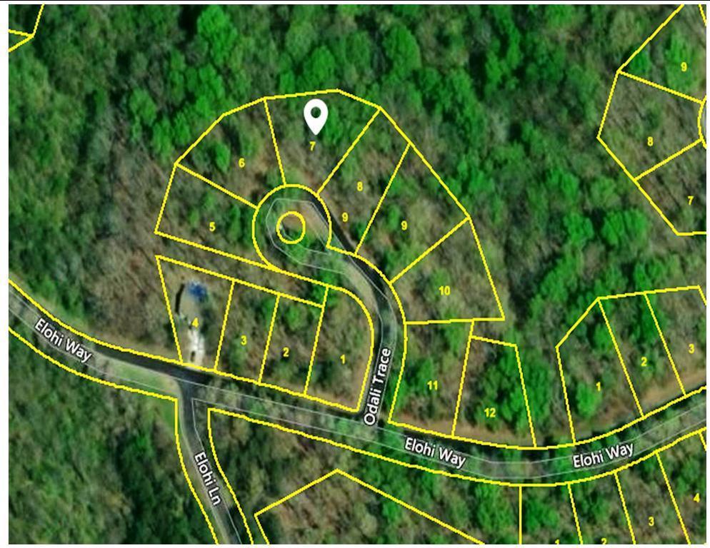 281 Odali Trace - Photo 1