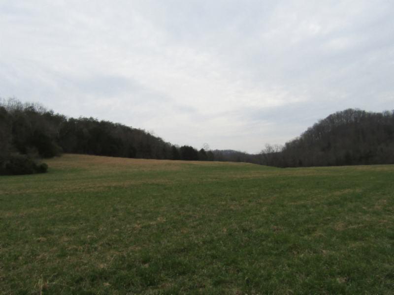 251.42ac Bucky Howard Rd - Photo 1