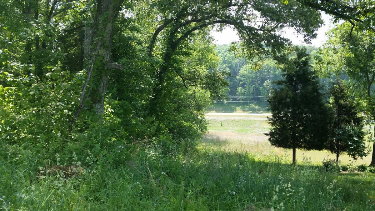 101 Roaming Fawn Drive - Photo 1