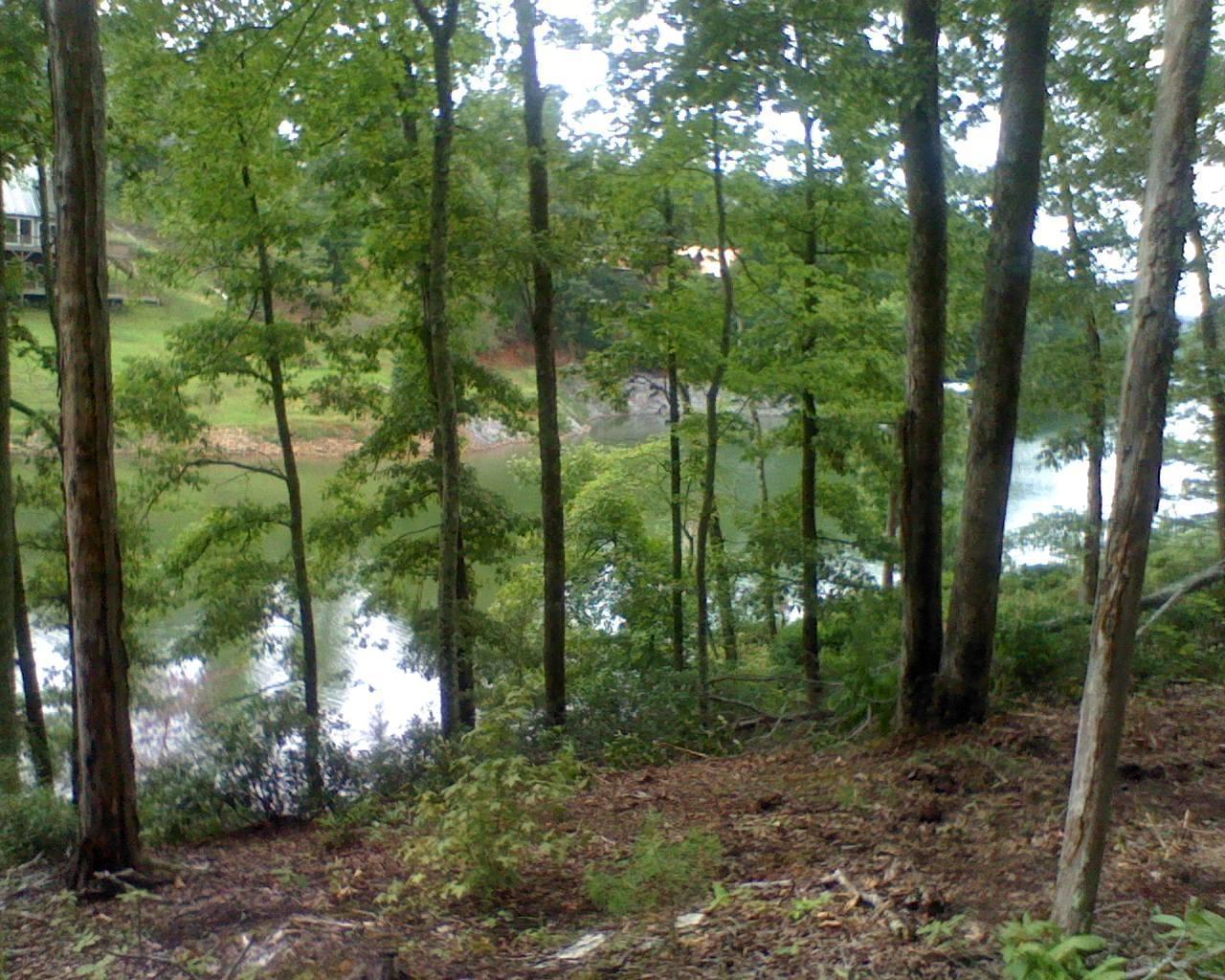 Indian Shadows Drive - Photo 1