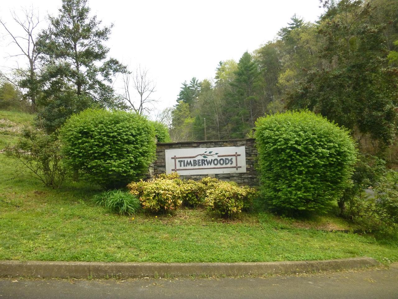 Lot 9 Timber Woods Dr. - Photo 1
