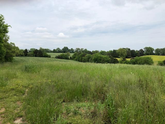 Randolph Fridley Rd - Photo 1