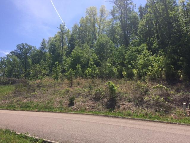 1808 Community Drive - Photo 1