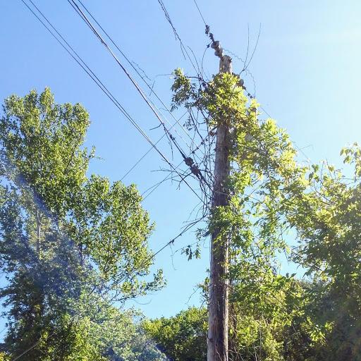 344 Old Clear Branch Lane - Photo 1