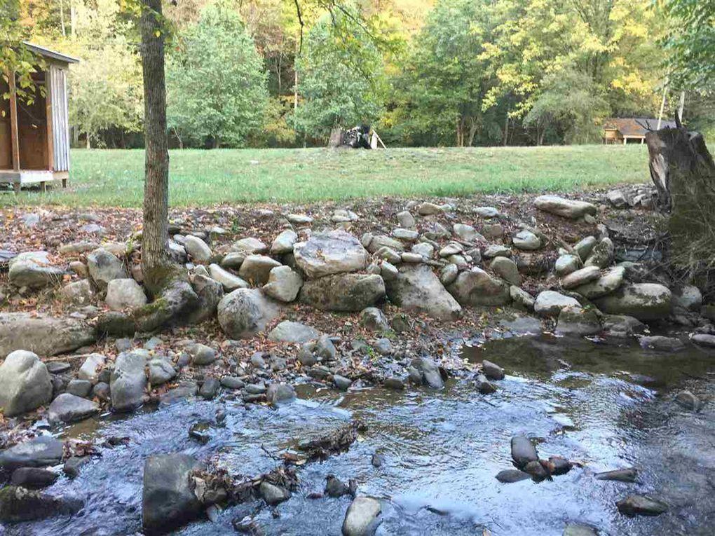 1179 Blue Mill Rd - Photo 1