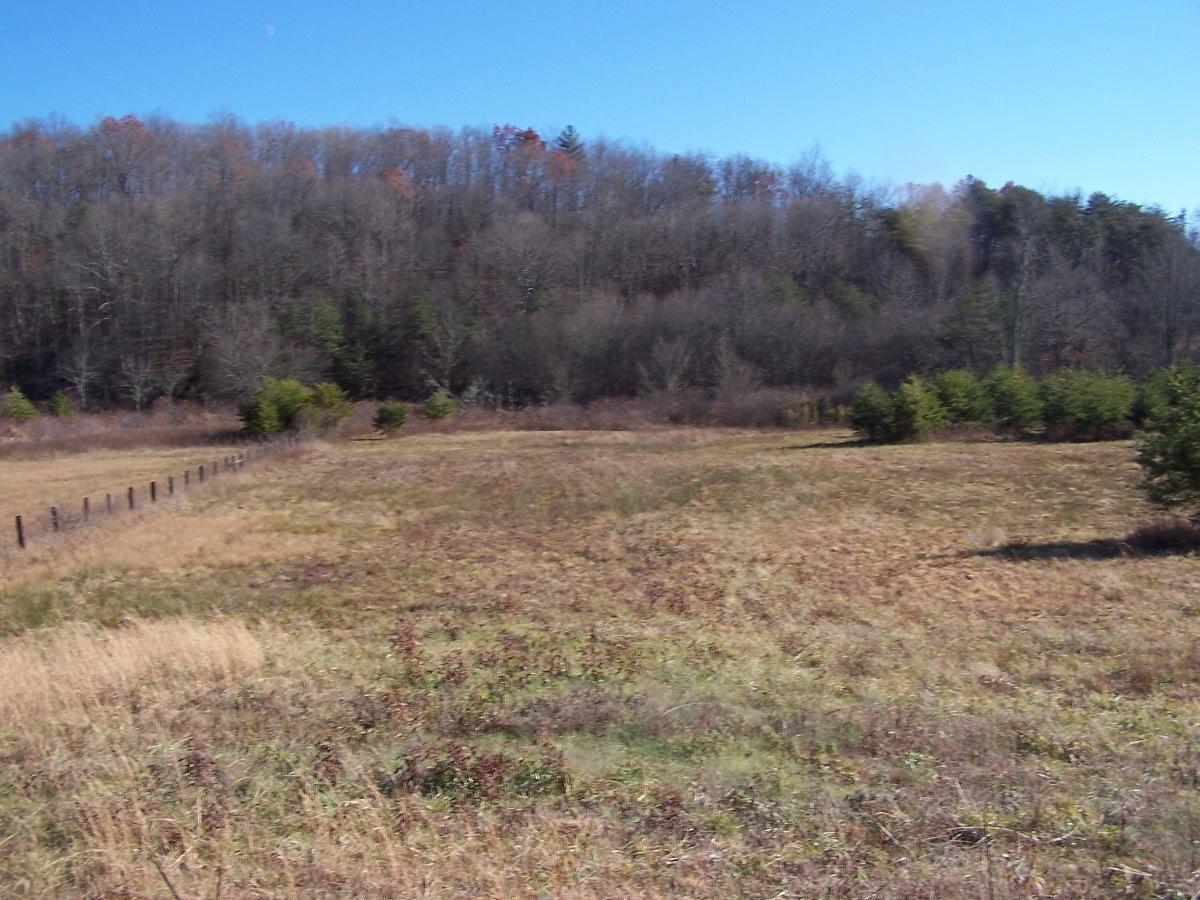 Tanner Drive - Photo 1