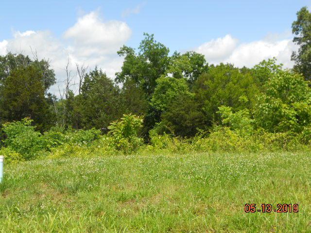 2360 Misty Mountain Circle - Photo 1