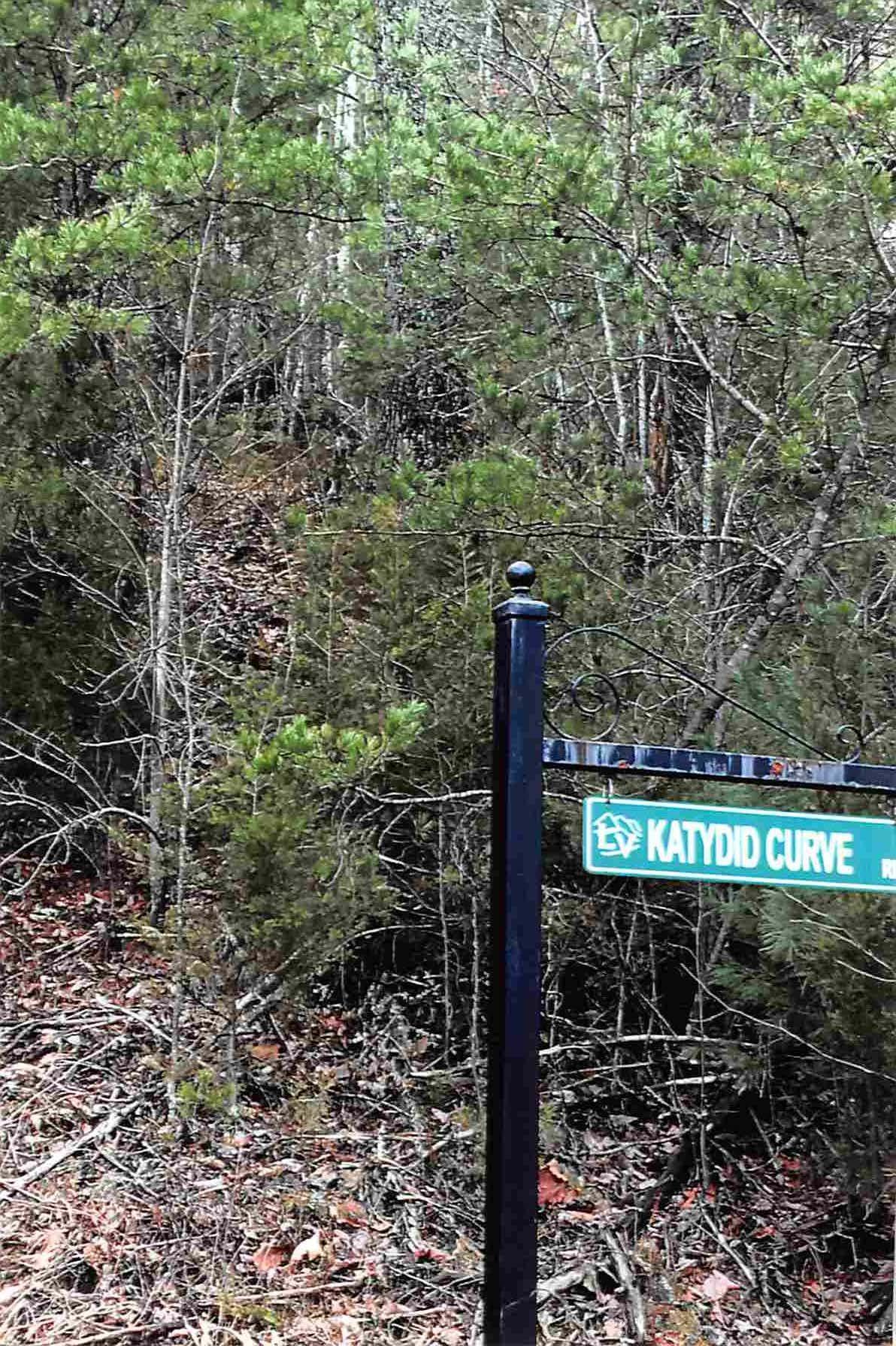 Bear Den Rd - Photo 1