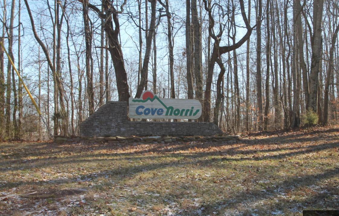 Cove Norris Rd Off Of Rd - Photo 1