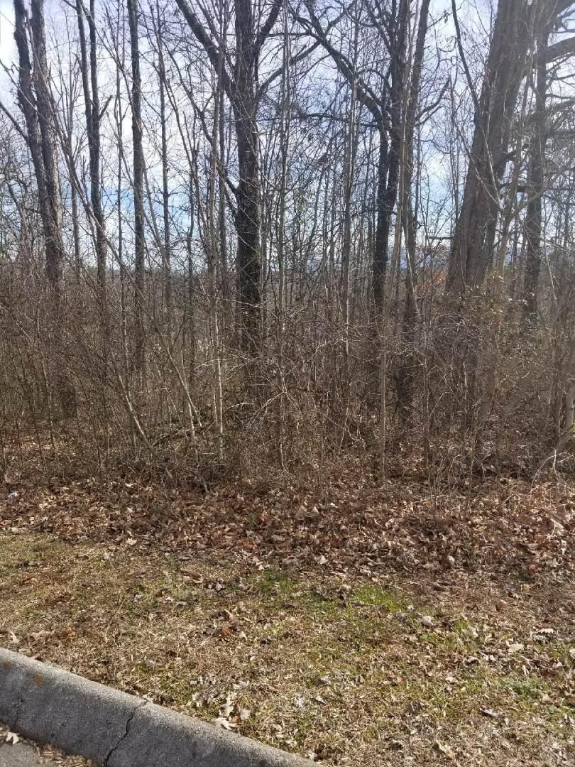 Hinkle Estates Drive - Photo 1