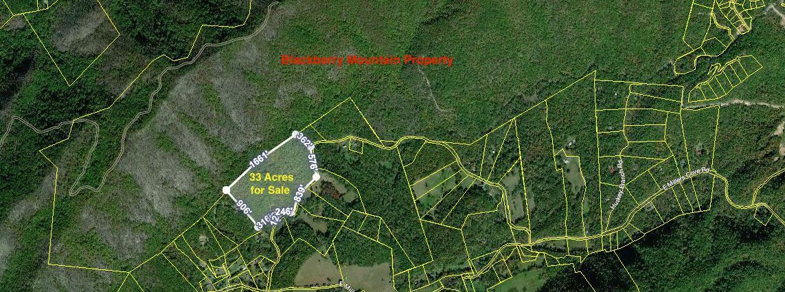 The Loop (28 Acres) Rd - Photo 1