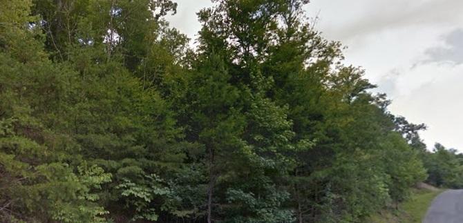 Lot 334 Shoreside Rd - Photo 1