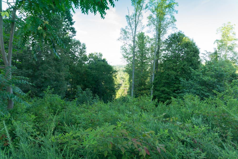 Copper Ridge Rd - Photo 1