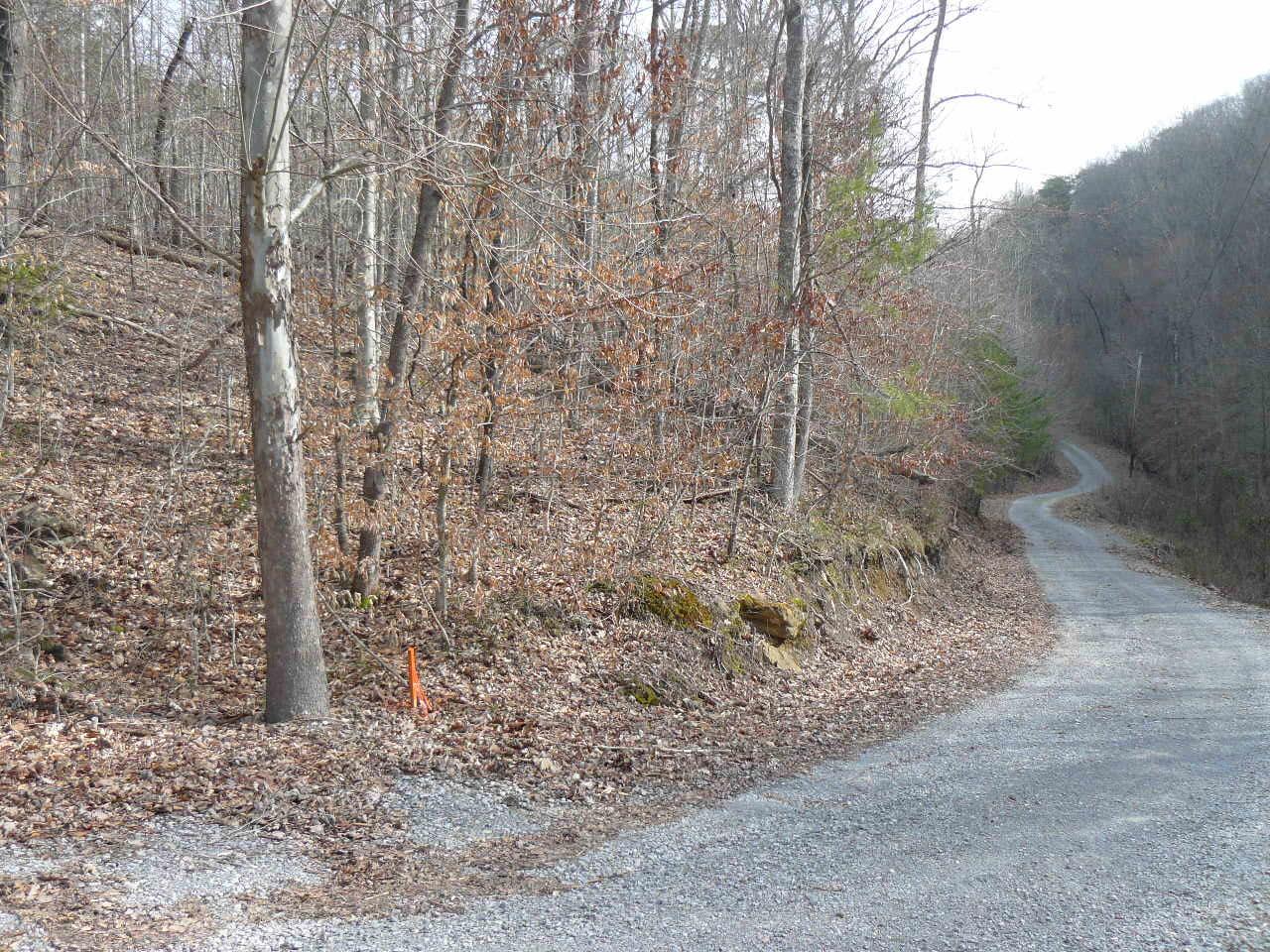 9.58 Acres Jennie Tolbert Lane - Photo 1