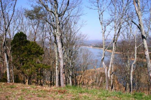 2029 Turner Landing Rd - Photo 1