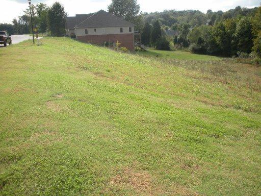 2311 Monticello Drive - Photo 1