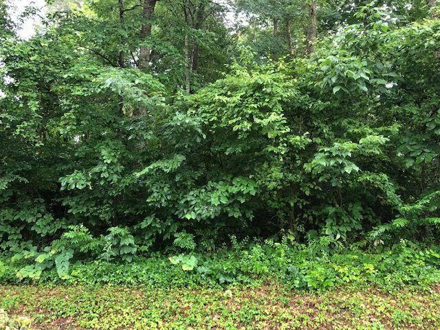 117 Oligi Lane - Photo 1