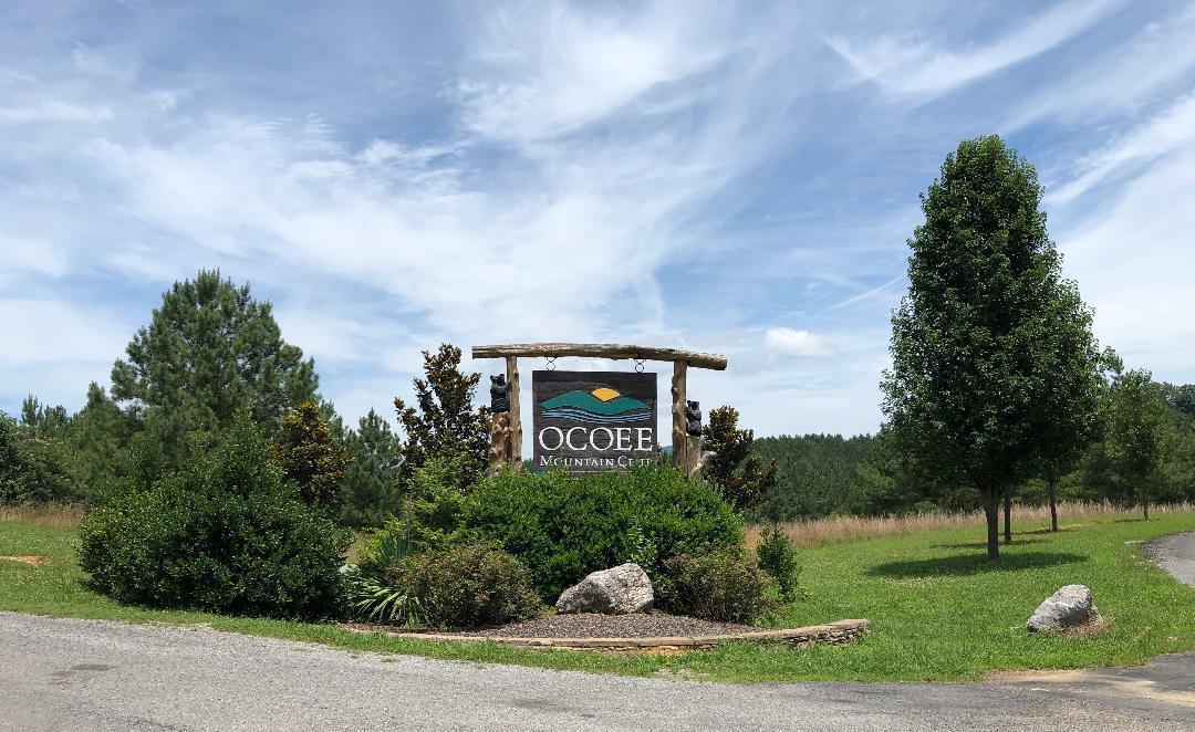 123 Cherokee Ridge Dr - Photo 1