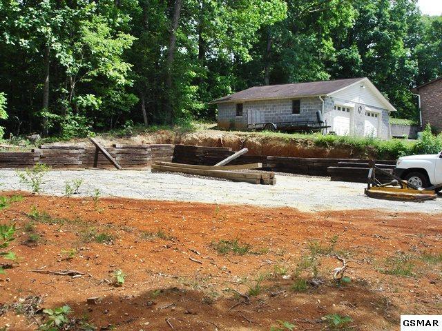 Lot 19 Dogwood Lane - Photo 1