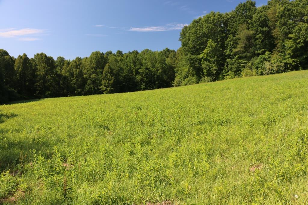 0 Terry Rd Rd - Photo 1
